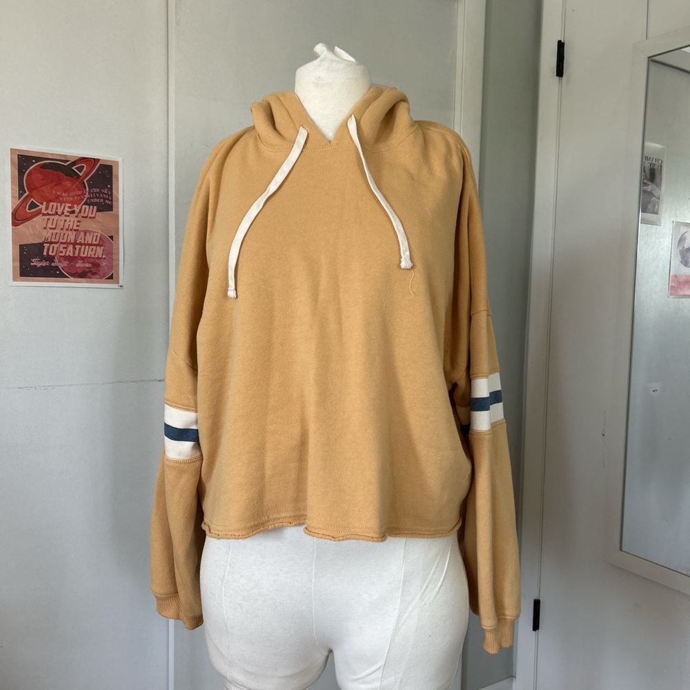American Eagle Outfitters Tan and Blue Striped Sleeve Hoodie